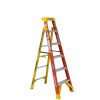 Hardware & Jobsite Supplies Werner | Werner 6' Leansafe Type Ia Fiberglass Leaning Ladder L6206