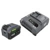 Power Tools FLEX | Flex 24V Starter Kit - 6.0Ah Stacked Battery, 280W Rapid Charger Fx0421-1H